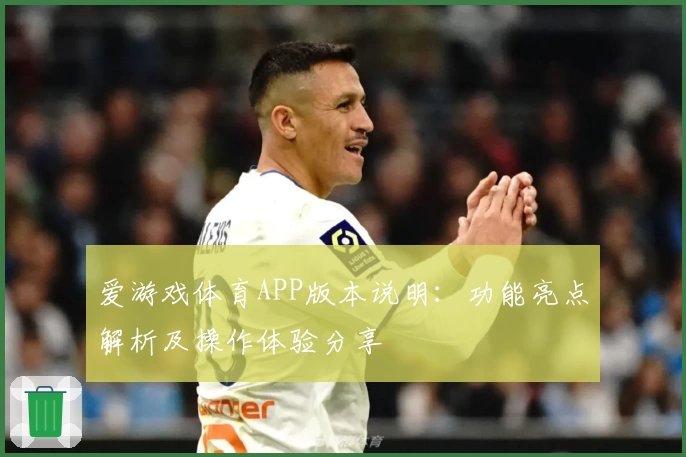 爱游戏体育APP版本说明：功能亮点解析及操作体验分享